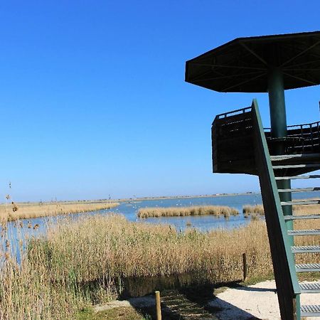Quet - Casa Rural Con Piscina Privada En El Delta Del Ebro - Deltavacaciones Дельтебре Экстерьер фото